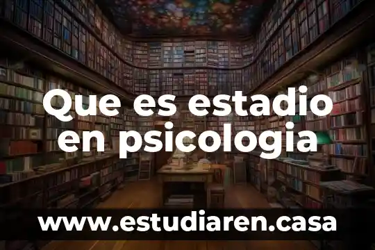Que es estadio en psicologia