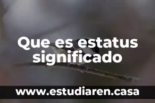 Que es estatus significado