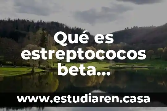 Qué es estreptococos beta hemolítico del grupo A