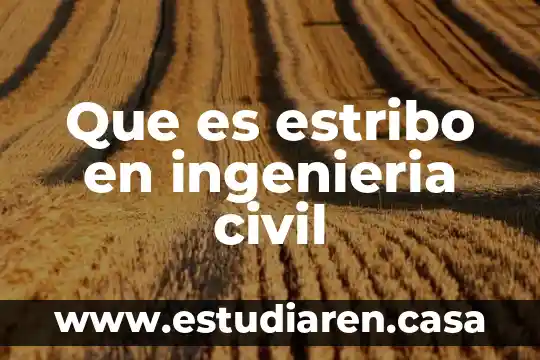 Que es la carrera ingenieria ambiental para la sistentacion 8 Que es estribo en ingenieria civil