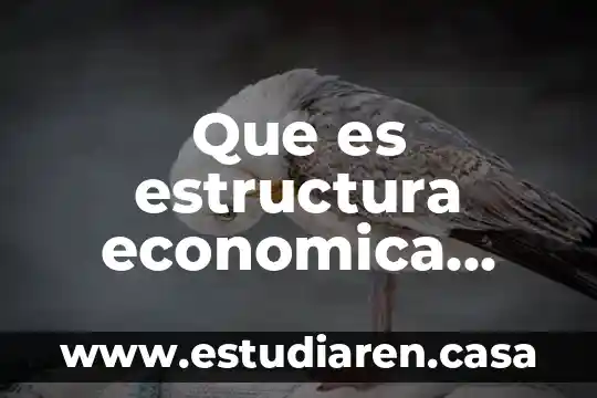 Que es estructura economica desde la perspectiva marxista