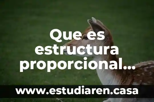 Qué es lo que conforma la estructura de una construcción 8 Que es estructura proporcional en mapa conceptual