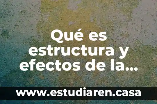 Qué es lo que conforma la estructura de una construcción 4 Qué es estructura y efectos de la globalización