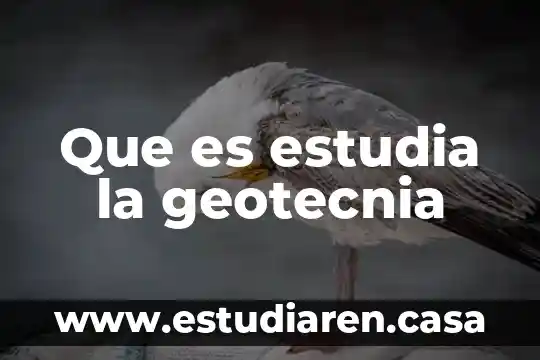 Que es estudia la geotecnia