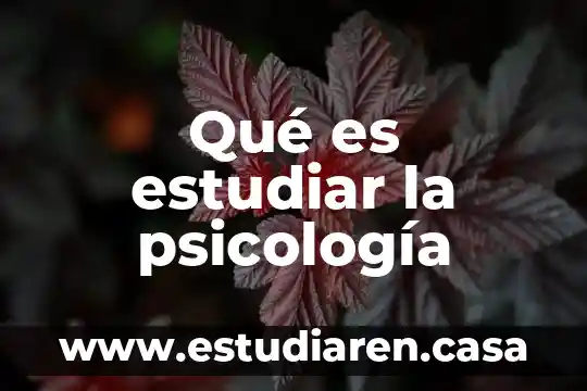 Que es estudiar psicologia en la uas uas 7 Qué es estudiar la psicología
