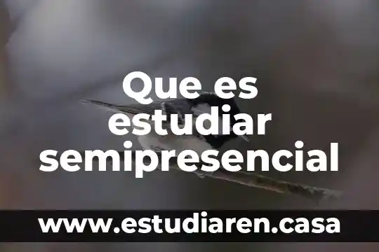 Qué es estudiar la psicología 7 Que es estudiar semipresencial