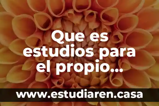Que es el flujo de efectivo concepto propio 6 Que es estudios para el propio beneficio
