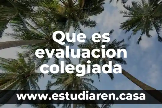 Que es la evaluacion psicologica forense 6 Que es evaluacion colegiada