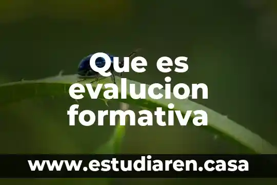 Que es evalucion formativa