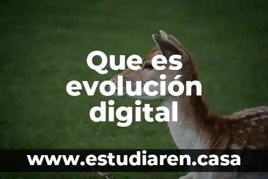 Que es identidad digital lo negativo i positivo 5 Que es evolución digital