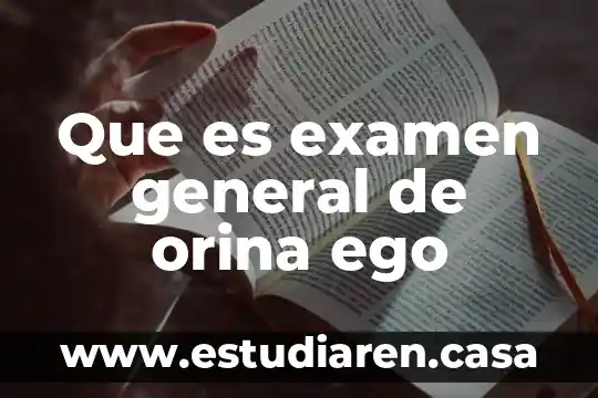 Que es una obra de arte en general 3 Que es examen general de orina ego