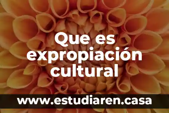 Que es esplendor cultural 8 Que es expropiación cultural