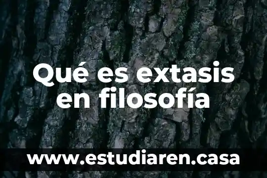 Qué es extasis en filosofía