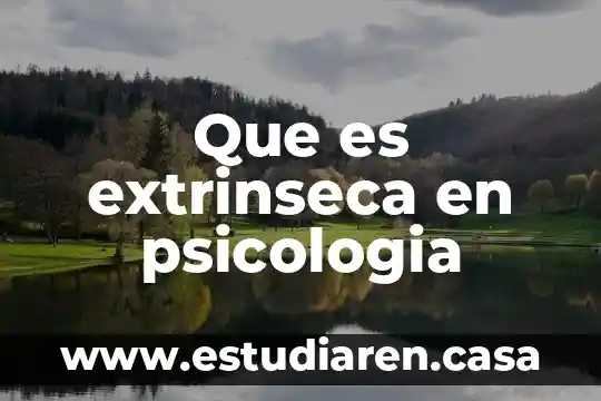 Que es extrinseca en psicologia