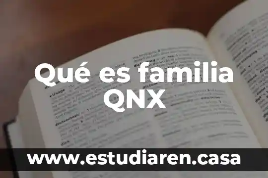 Que es una familia exitosa 8 Qué es familia QNX
