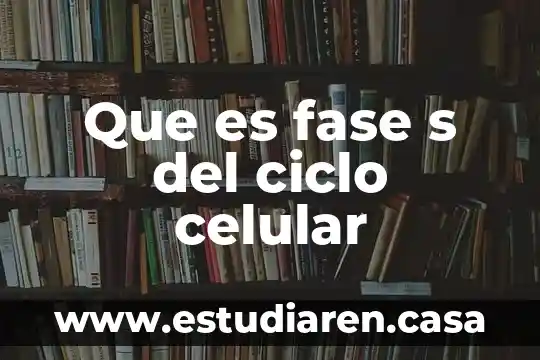 Que es fase s del ciclo celular