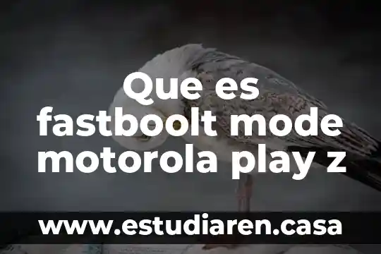 Que es fastboolt mode motorola play z