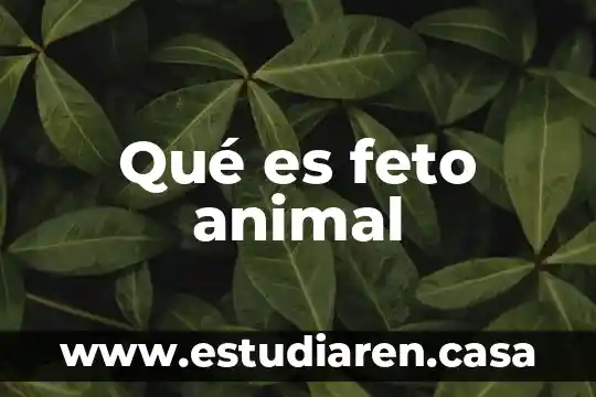 Qué es feto animal