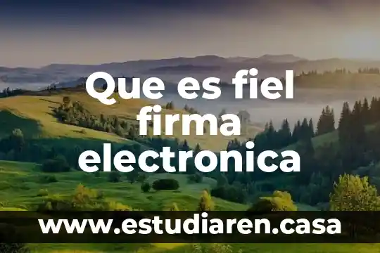 Que es fiel firma electronica