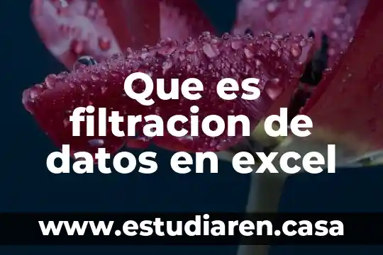 Que es filtracion de datos en excel