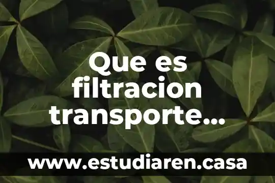 Que es filtracion transporte celular