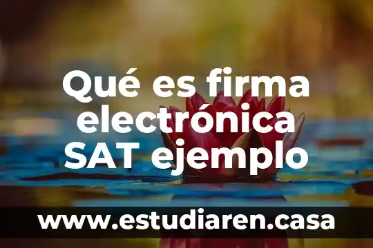 Qué es firma electrónica SAT ejemplo
