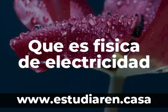Que es un interuptor de electricidad 3 Que es fisica de electricidad