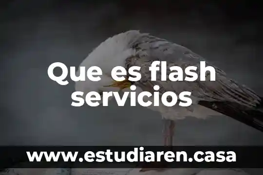 Que es flash servicios