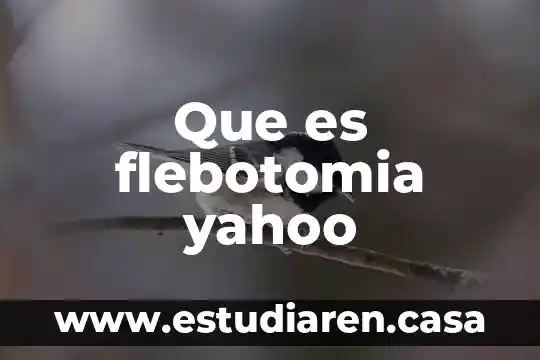 Que es flebotomia yahoo
