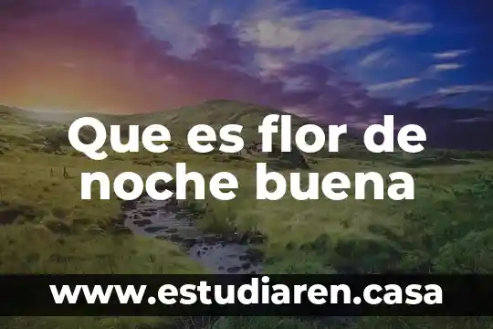 Que es in en enfermeria 7 Que es flor de noche buena