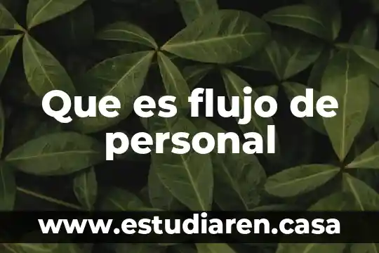 Que es flujo de personal