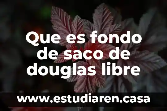 Que es fondo de saco de douglas libre