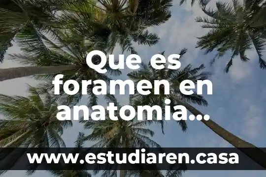 Que es foramen en anatomia animal