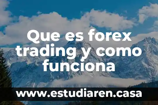Que es forex trading y como funciona