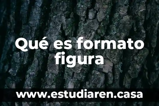 Qué es formato figura