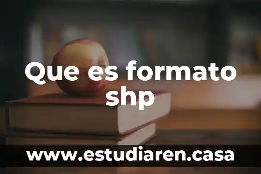 Formato dependencia que es 3 Que es formato shp