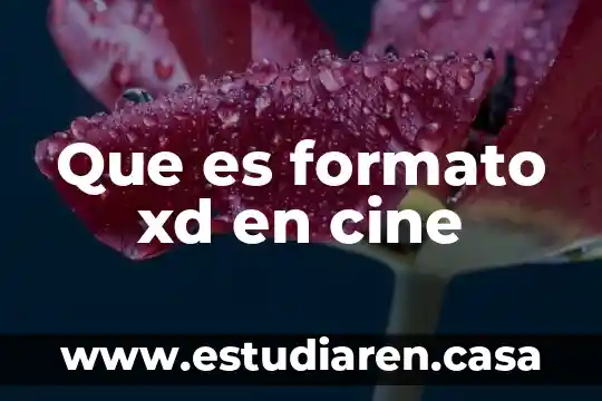 Que es formato xd en cine