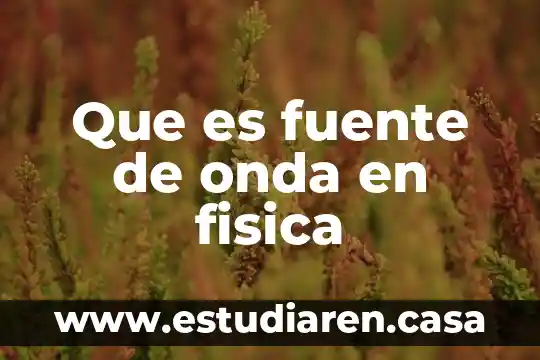 Que es fuente de onda en fisica