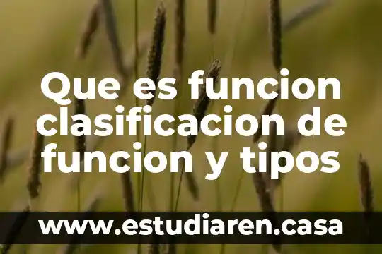 Que es funcion clasificacion de funcion y tipos