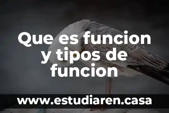 Que es funcion y tipos de funcion