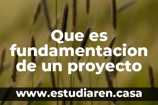 Que es fundamentacion de un proyecto