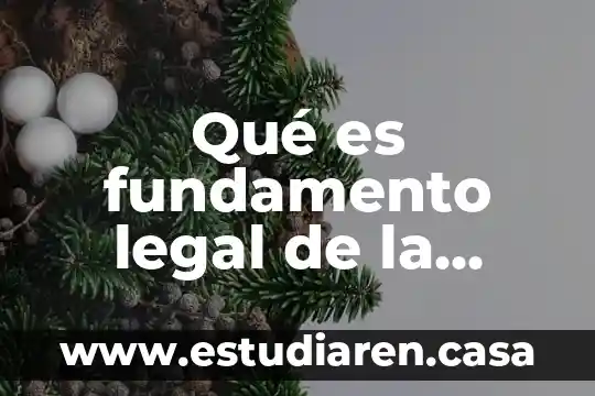 Que es una familia exitosa 4 Qué es fundamento legal de la familia