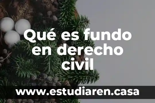 Por que es importante el derecho para un humanista 3 Qué es fundo en derecho civil