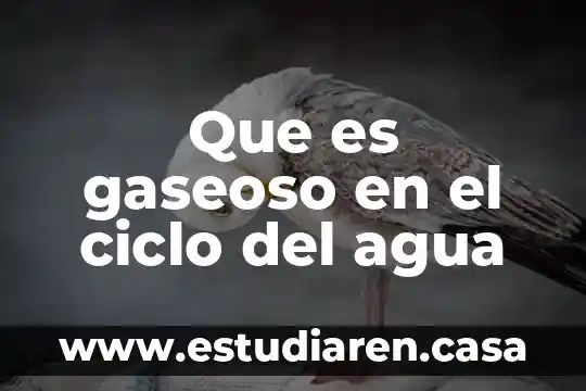 Que es gaseoso en el ciclo del agua