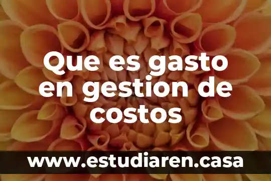 Que es un sistema de gestion de filas 8 Que es gasto en gestion de costos