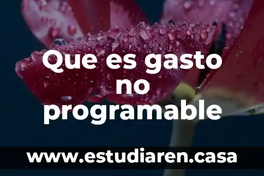 Que es gasto no programable