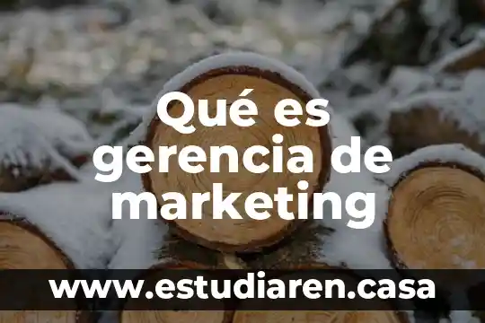 Que es la gerencia general de un hotel 3 Qué es gerencia de marketing