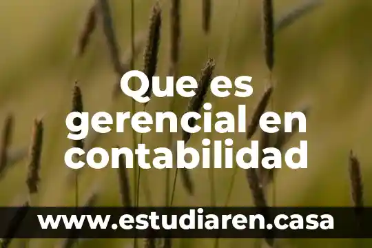 Que es sistema de informaci贸n gerencial en una empresa 7 Que es gerencial en contabilidad