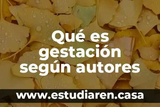 Qué es gestación según autores