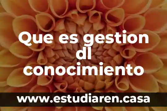 ¿Qué es el tipo de conocimiento filosófico y sus características? 5 Que es gestion dl conocimiento
